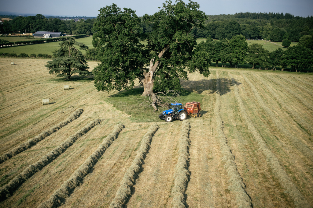 Photo Aerial views of the family farm. Making Hay  While The Sun Shines