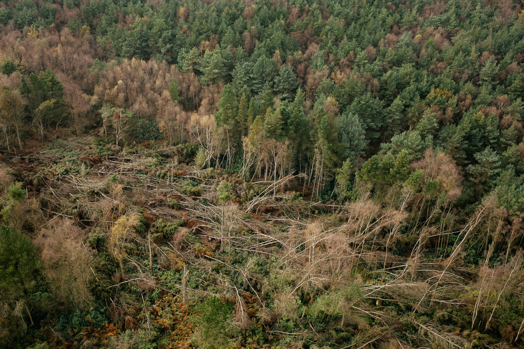 Photo Aerial views of the family farm. Storm damage from January 2013.