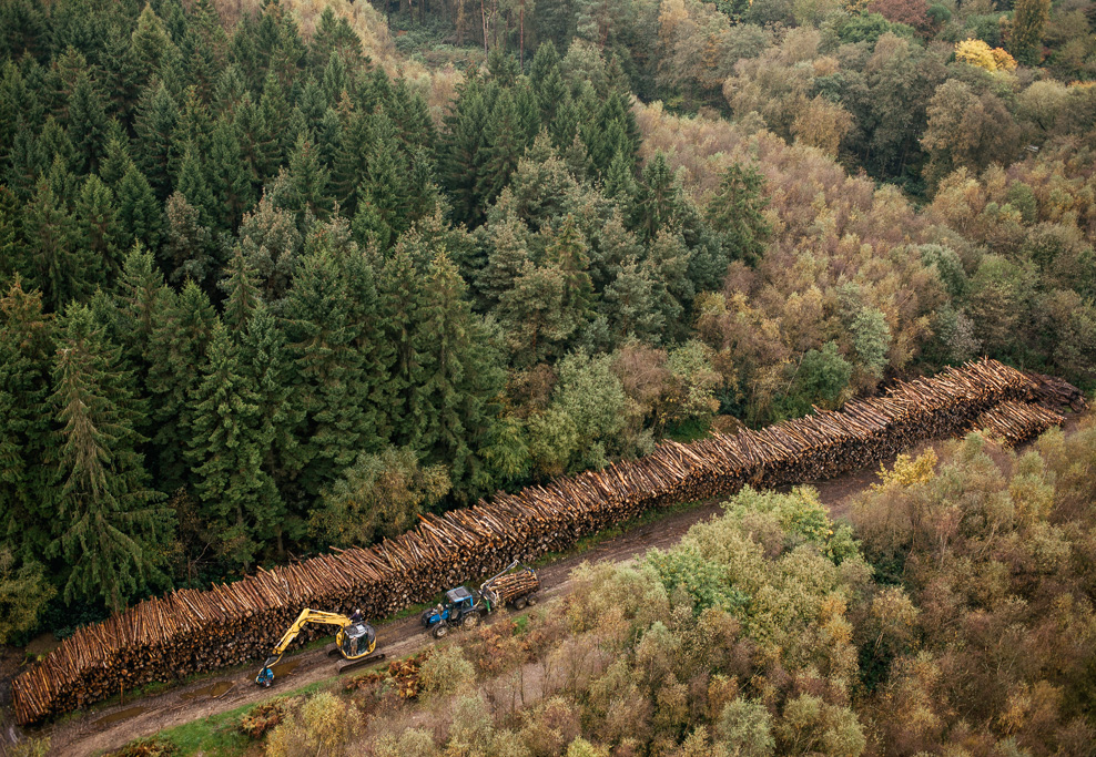 Photo Aerial views of the family farm. The log pile, wood brought in ready for chipping.