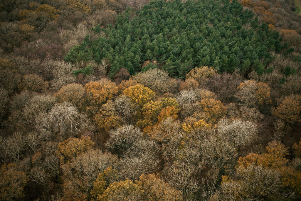 Photo Aerial views of the family farm. 