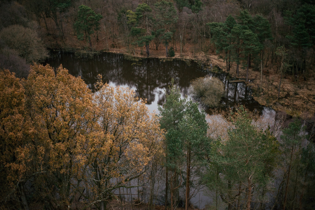 Photo Aerial views of the family farm. 