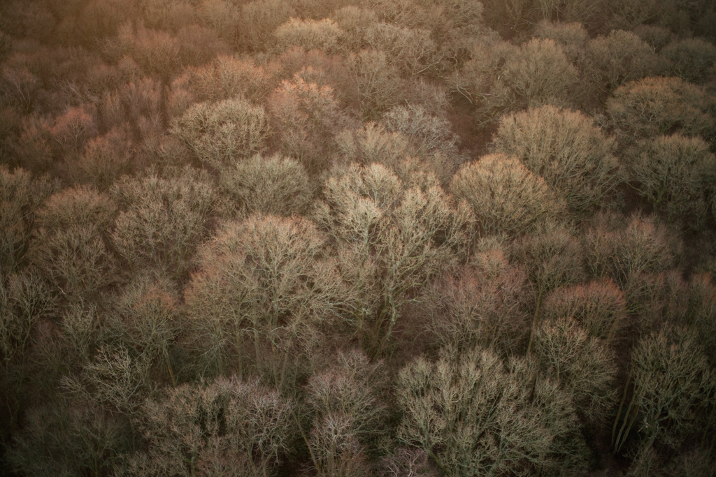 Photo Aerial views of the family farm. Sunrise over the frosty forest.