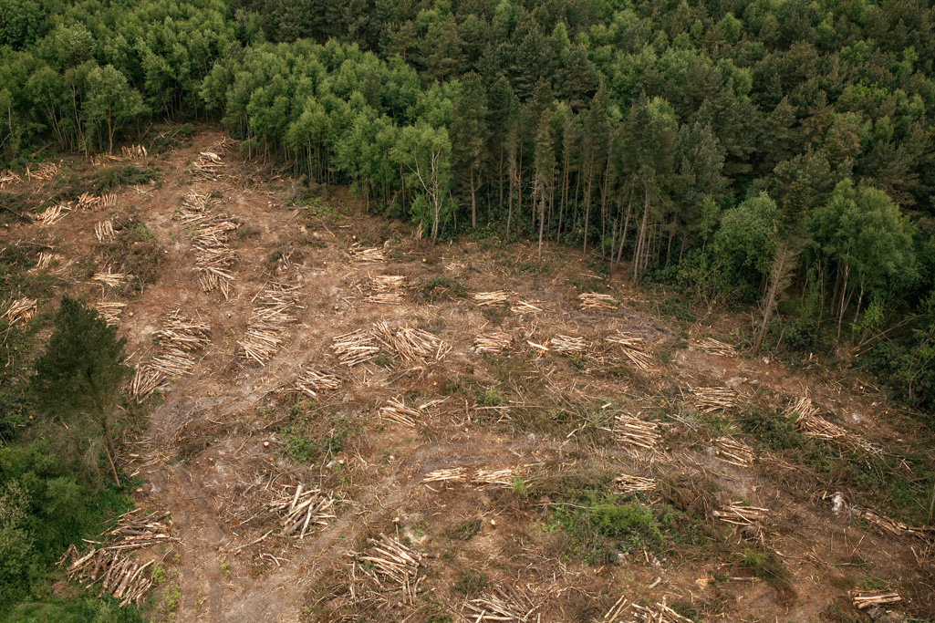 Photo Aerial views of the family farm. Processed timber.