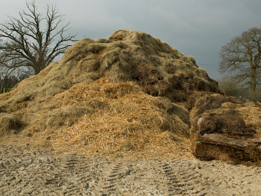 Photo Anatomy of an English country estate. The muck heap.