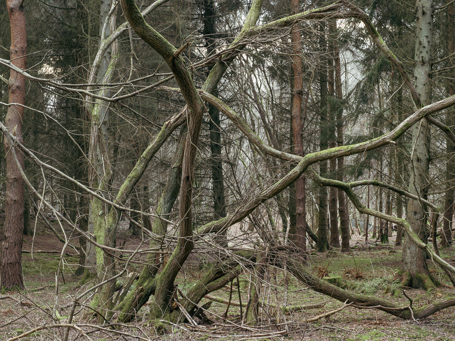 Photo Anatomy of an English country estate. 